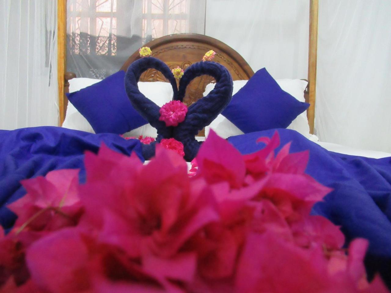 טנגלה Timasha Home Stay מראה חיצוני תמונה