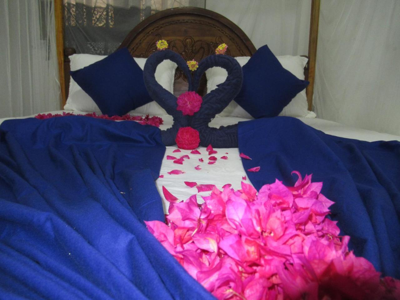 טנגלה Timasha Home Stay מראה חיצוני תמונה